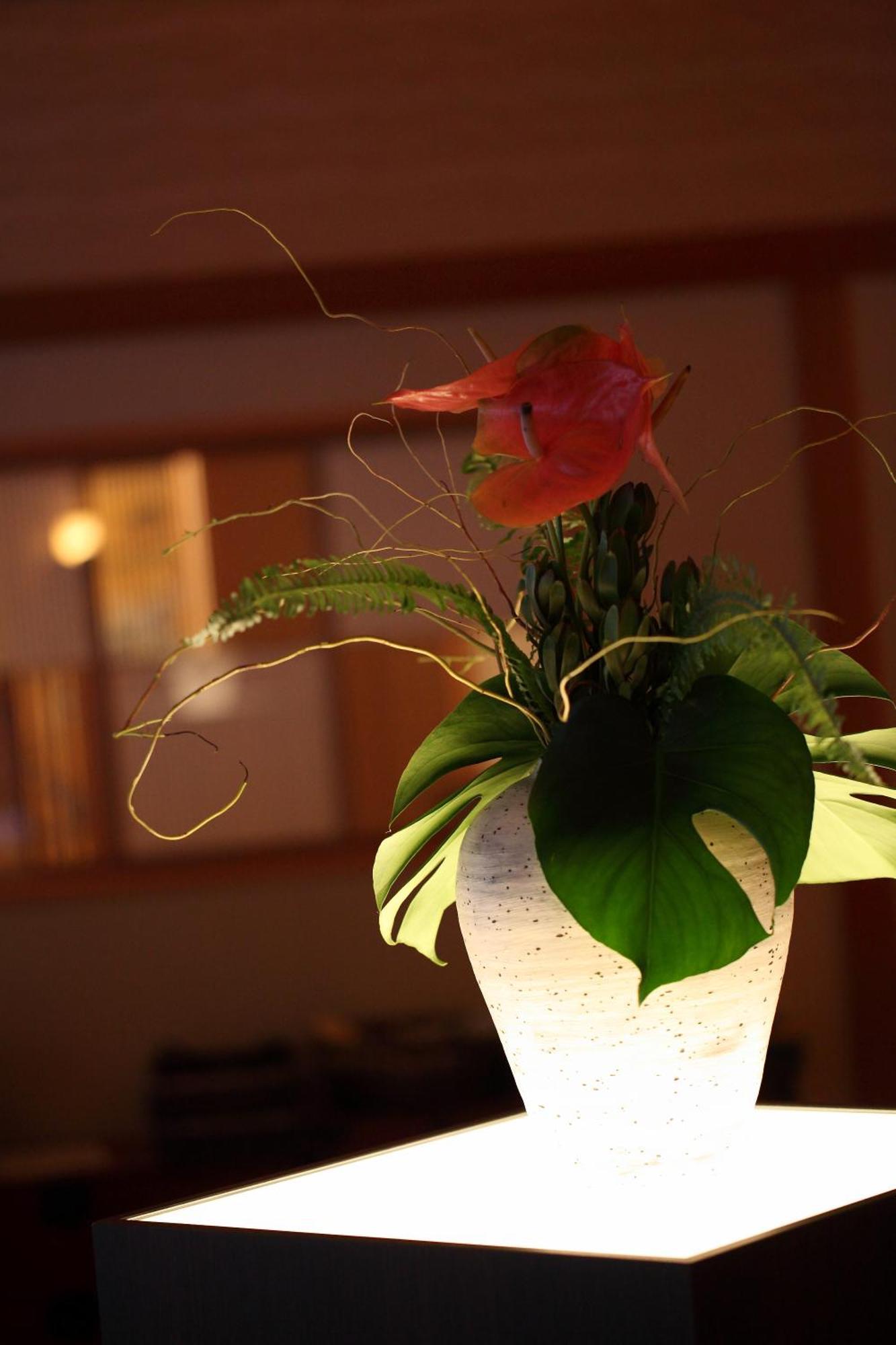 เคียว ยุโนะฮะนะ รีสอร์ต ซุยเซง Hotel Kameoka ภายนอก รูปภาพ